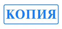 Копия. Надпись копия. Печать копия. Штамп копия на прозрачном фоне. Печать копия прозрачная.